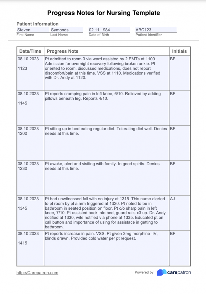 Progress Notes For Nursing Template & Example  Free PDF Download