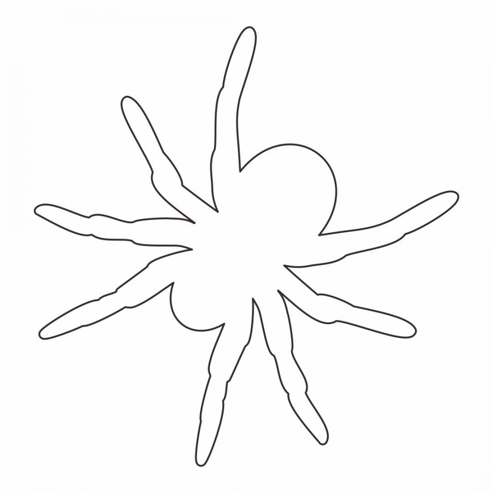 Best Printable Spider Template - printablee