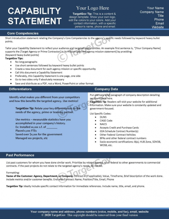 Capability Statement Editable Template - Blue and Blue