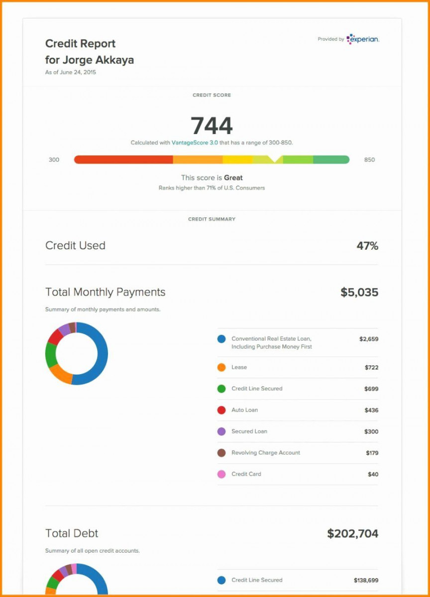 Fake Credit Report  Report template, Report card template