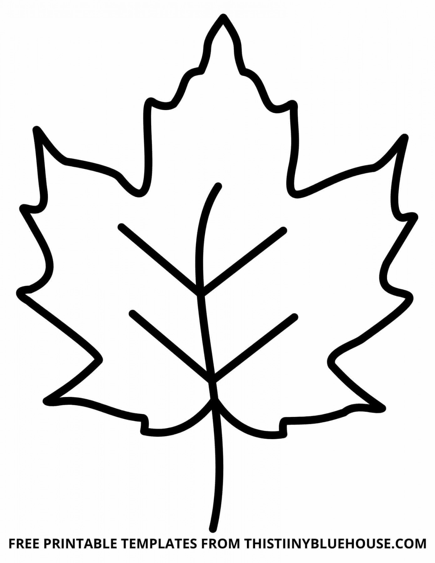 Free Leaf Template Printable ( sizes of Leaf Outlines Small