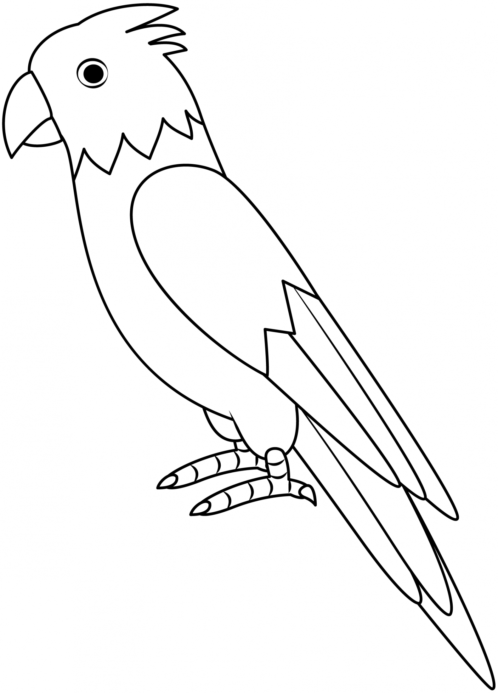 Parrot Printable Template  Free Printable Papercraft Templates