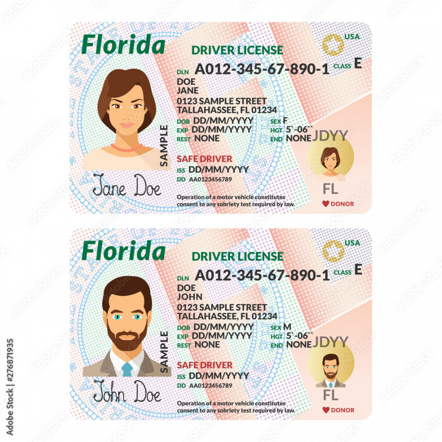 Vector template of sample driver license plastic card for USA