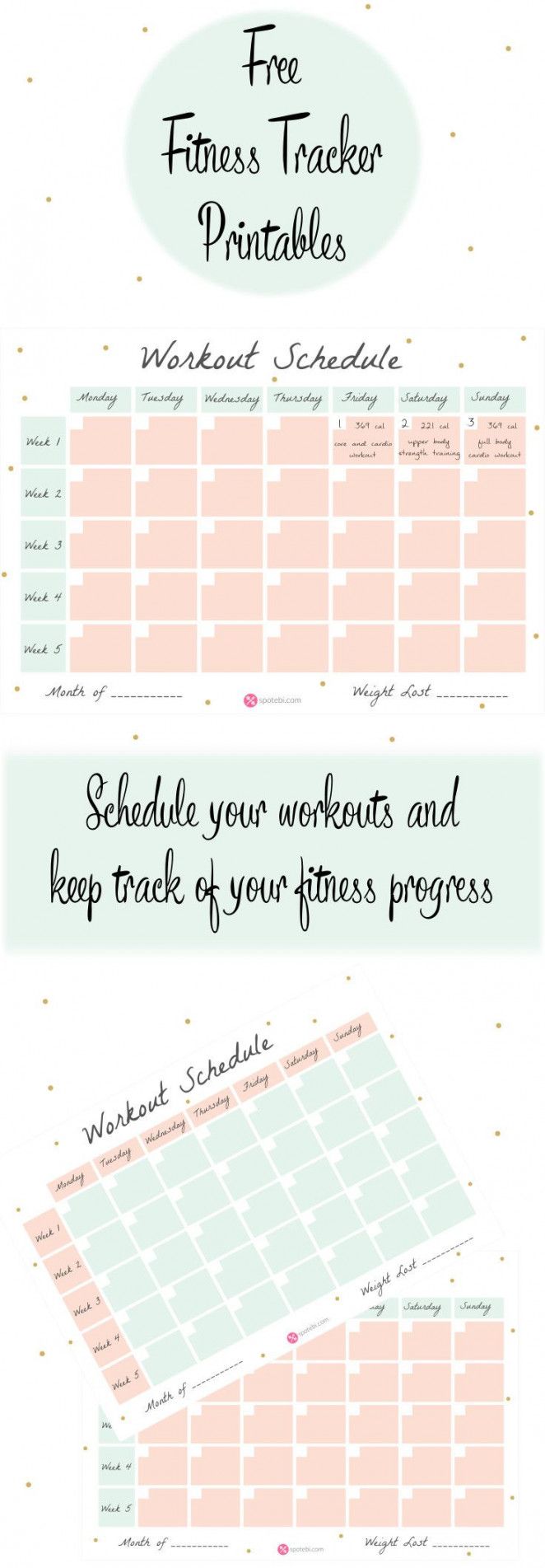 Workout Schedule Template  Fitness Tracker  Workout schedule