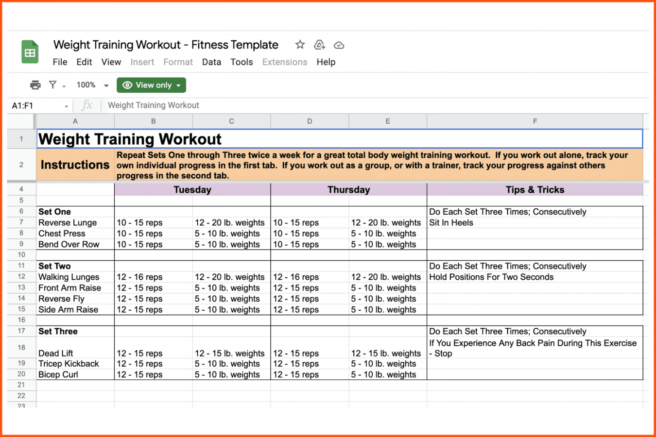 + Best Free Google Sheets Workout Planner Templates for