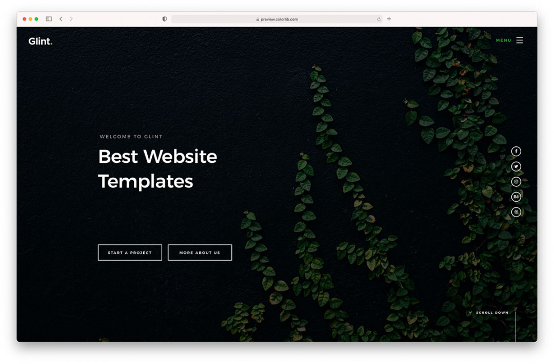 + Best Website Templates (HTML & CSS)  - Colorlib