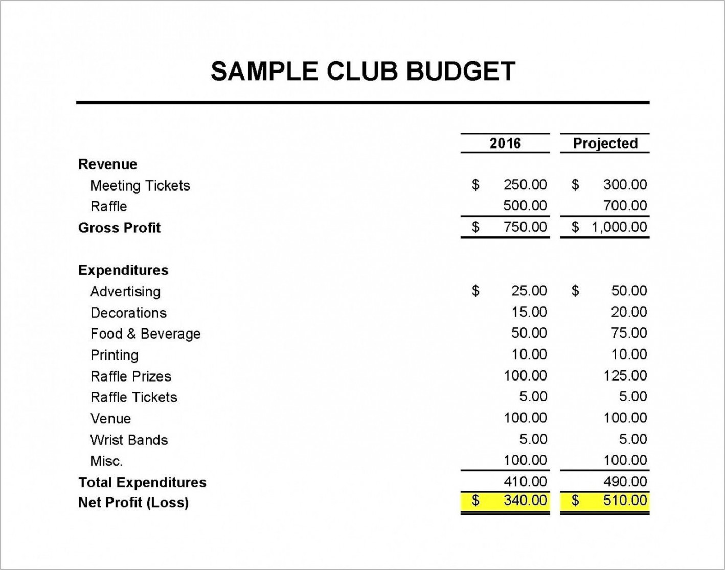 Free Non Profit Treasurer Report Template Doc  Report template