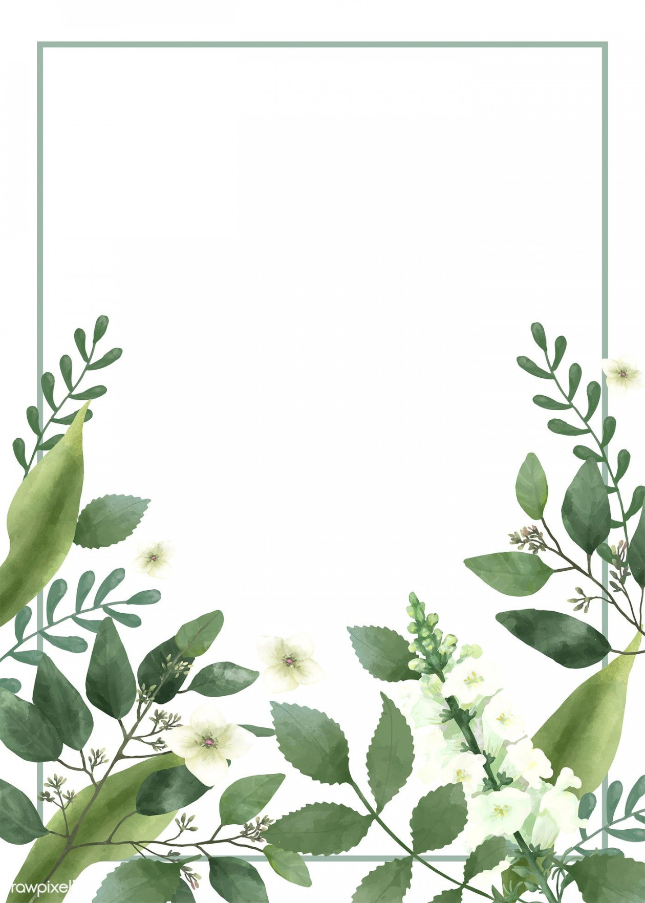 Invitation card with a green theme  free image by rawpixel