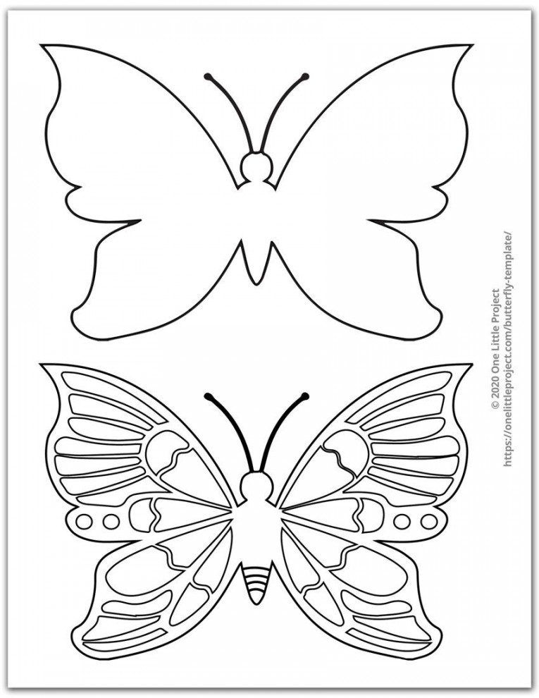 Medium Butterfly Template   Butterfly template, Paper