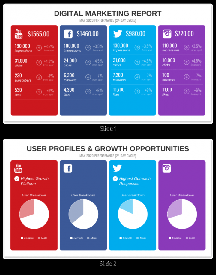 Digital Marketing Report - Venngage