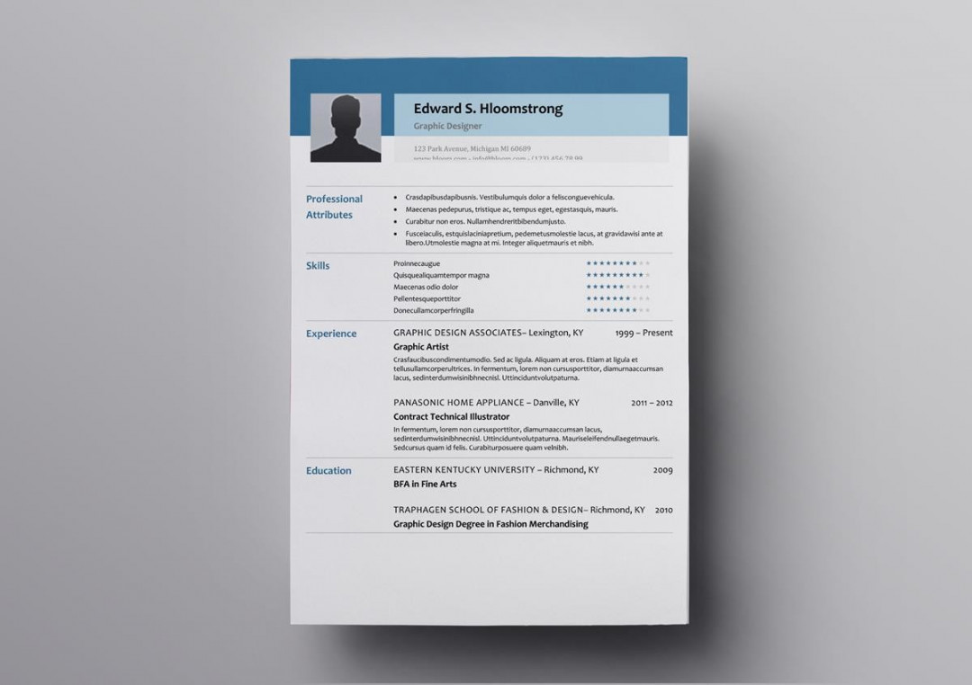 + Free OpenOffice Resume Templates (Also for LibreOffice)