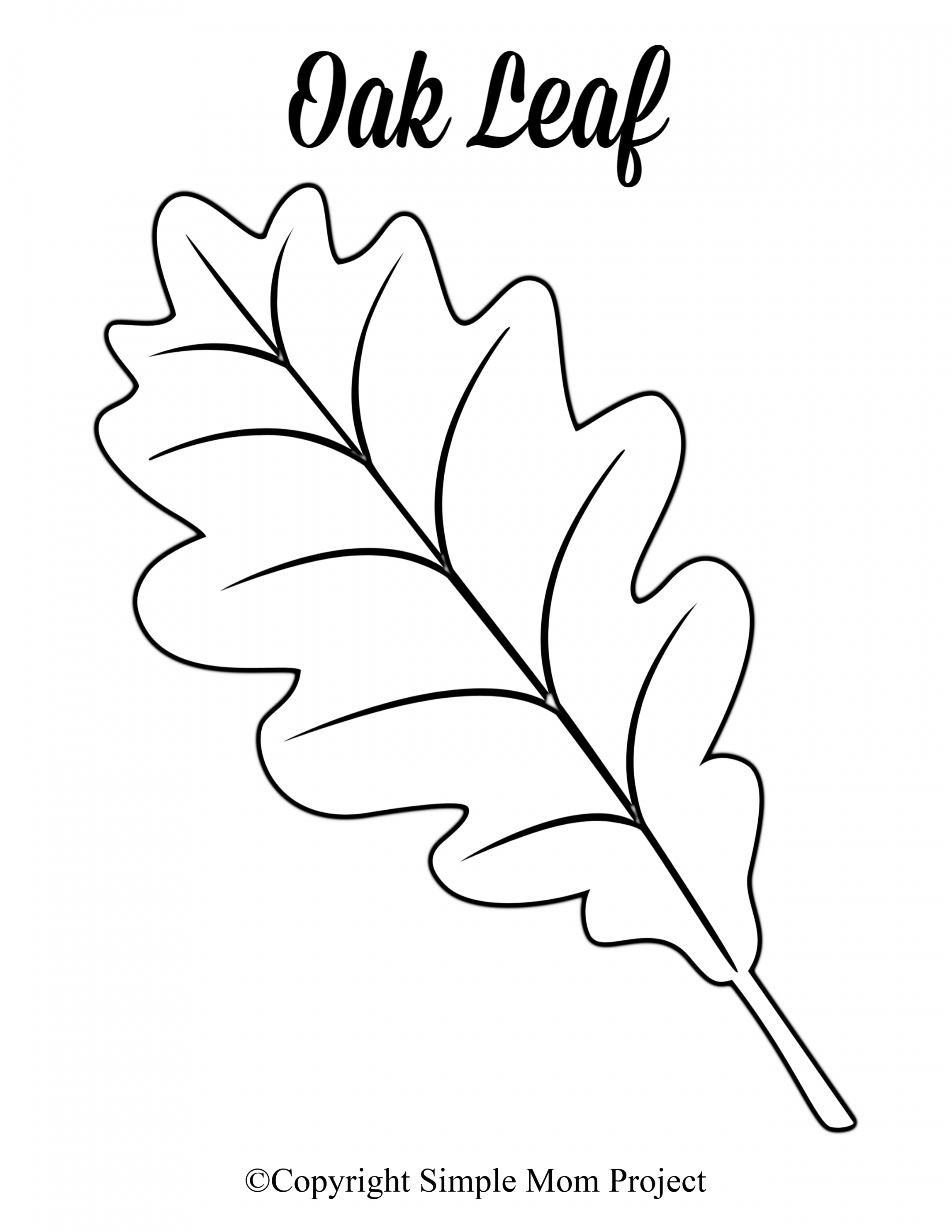 Free Printable Large Leaf Templates, Stencils and Patterns  Leaf