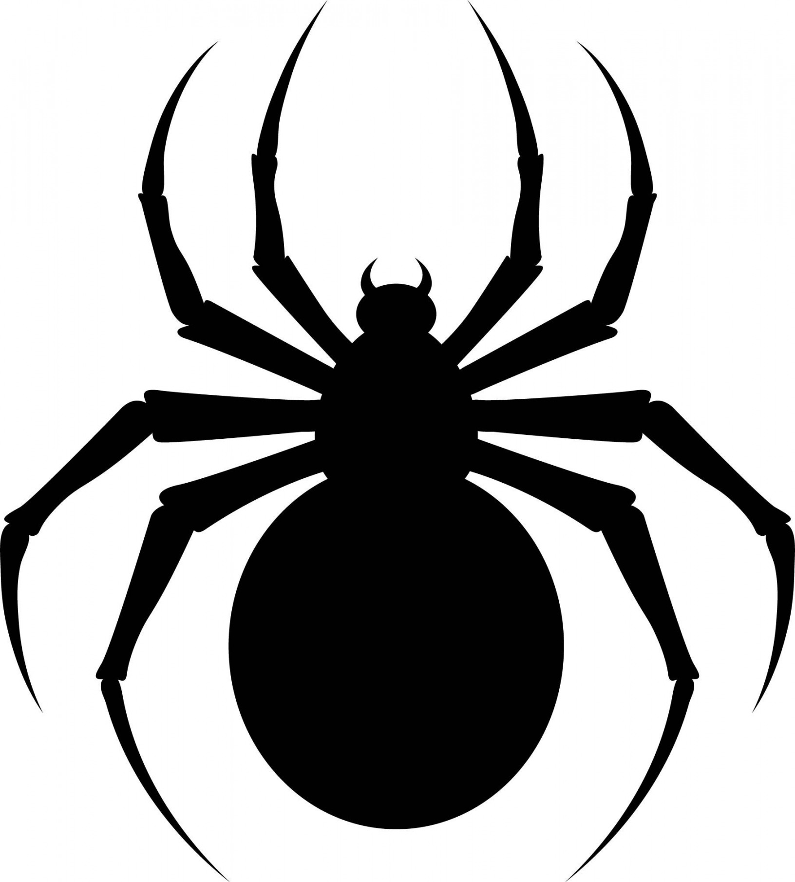 Halloween Spider Template  Spider template, Halloween spider, Spider