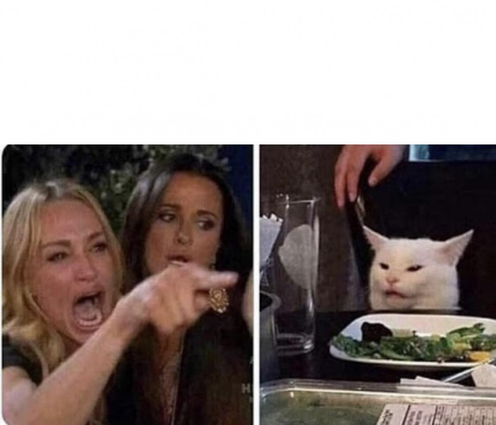 Lady yelling at confused cat : r/MemeTemplatesOfficial