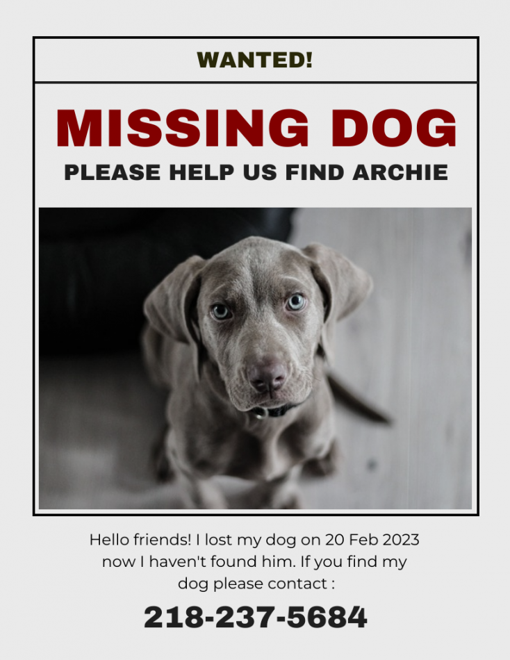 Light Grey Modern Missing Dog Flyer - Venngage