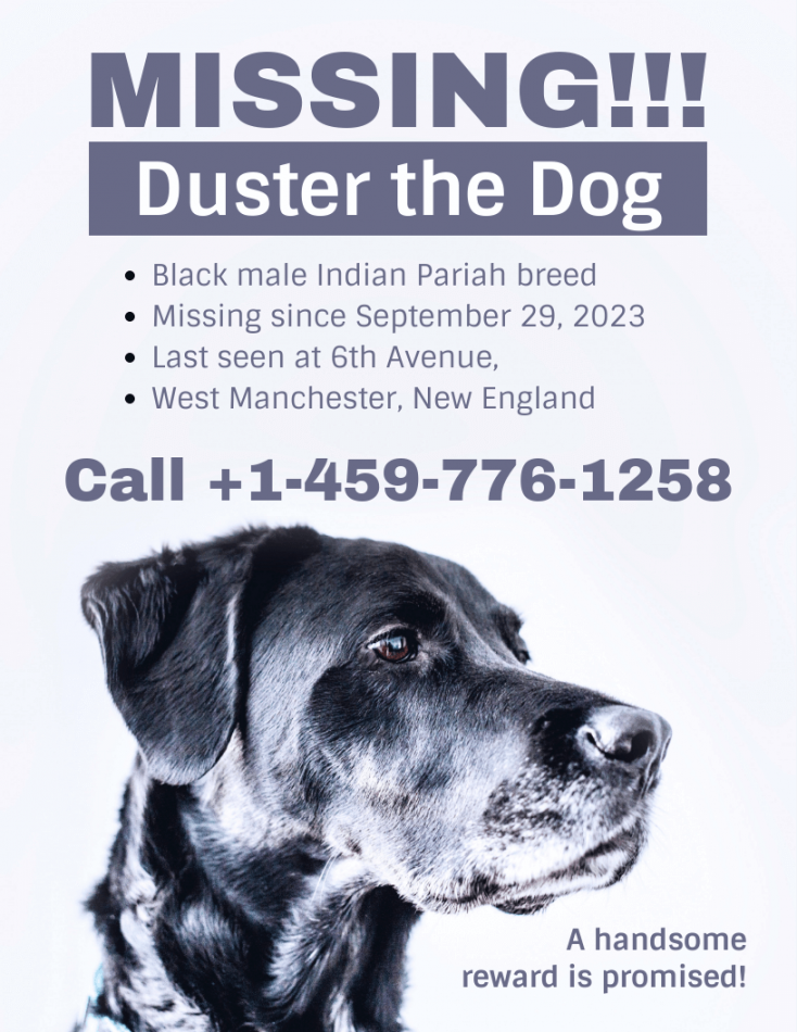 Simple Missing Dog Poster - Venngage