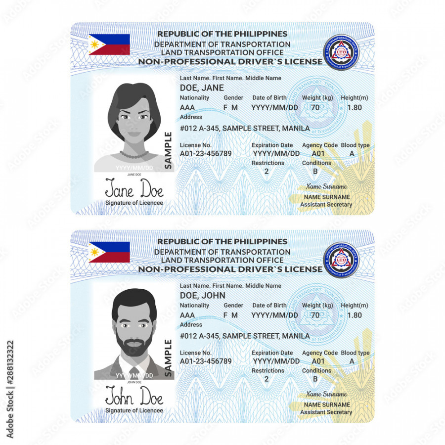 Vector template of sample driver license plastic card for