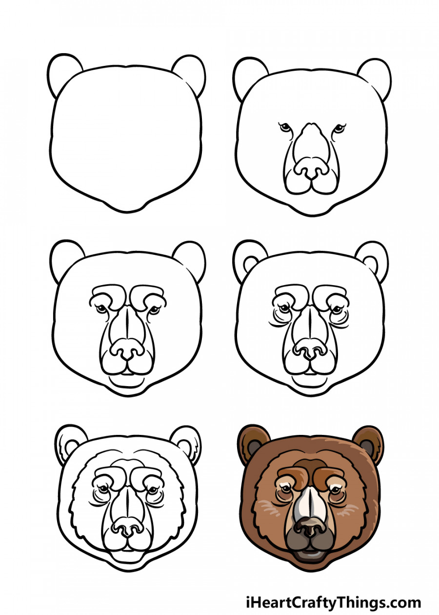 Bear Face Drawing - How To Draw A Bear Face Step By Step