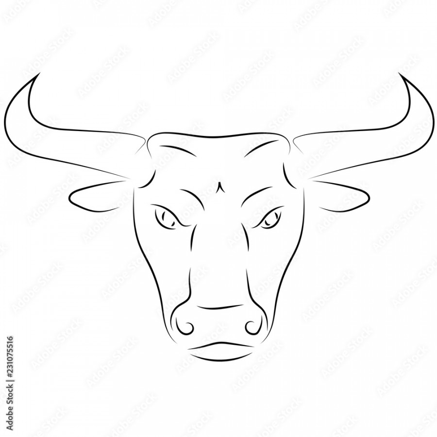 Black line bull head on white background