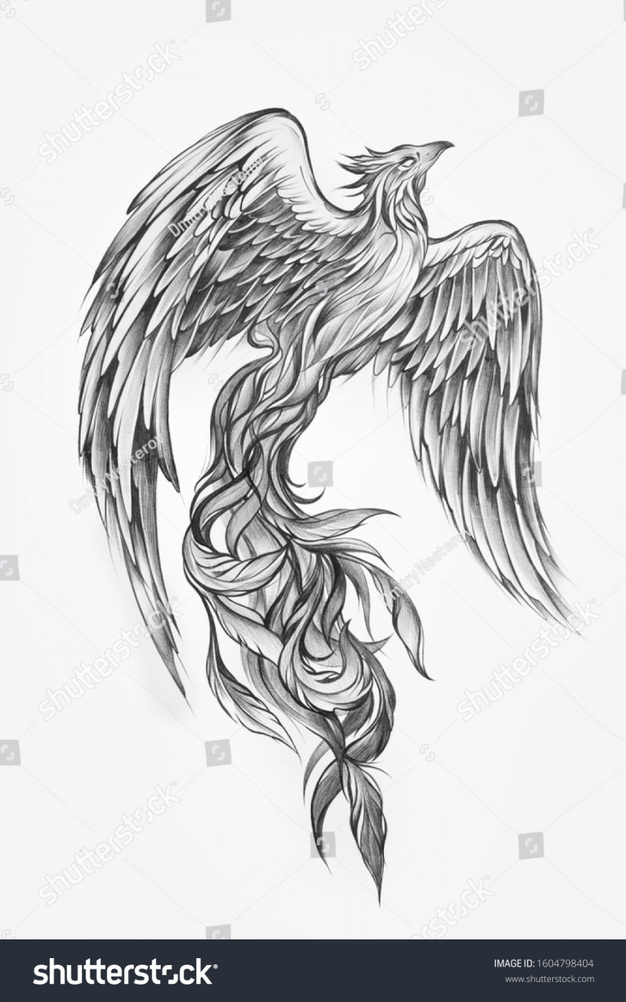 Blackwhite Sketch Majestic Phoenix: Stockillustration