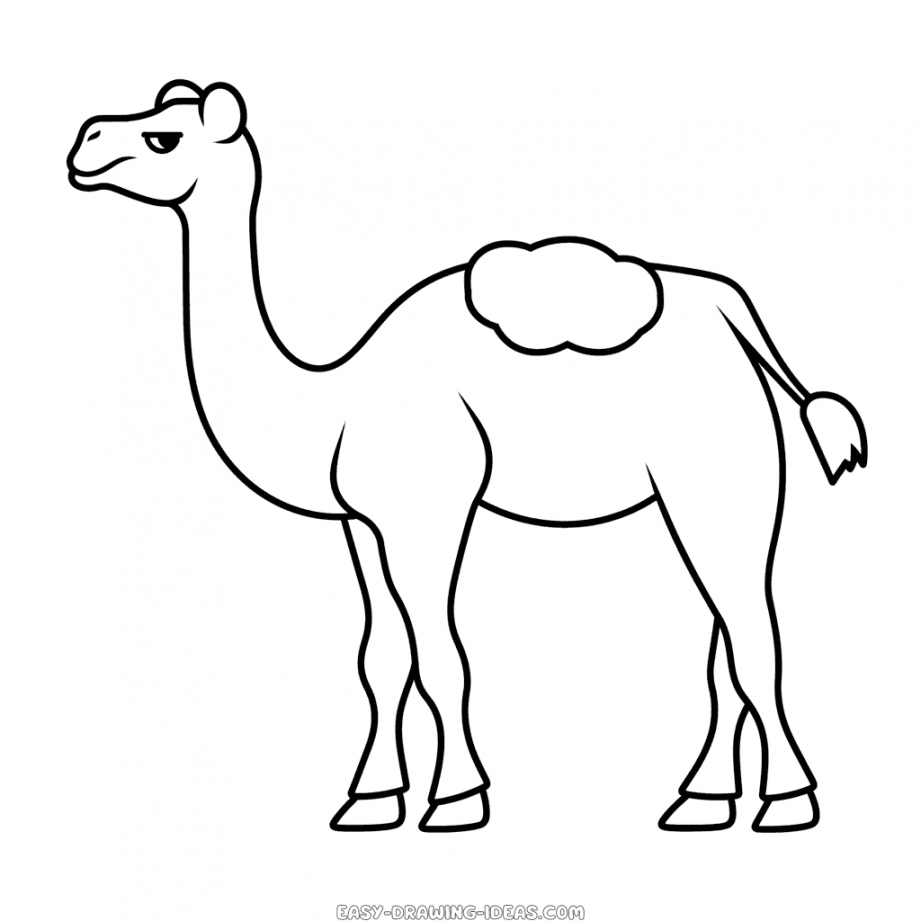 Camel easy drawing  Easy Drawing Ideas