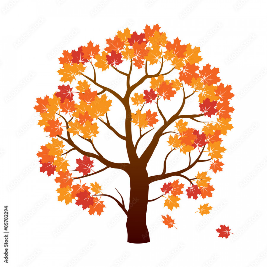 Color Autumn Maple Tree. Vector Illustration