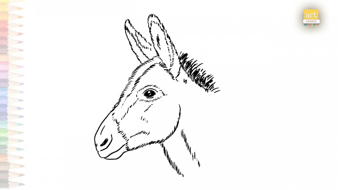 Cute young donkey face drawing easy  Donkey drawings easy  How to draw A  Donkey step by step