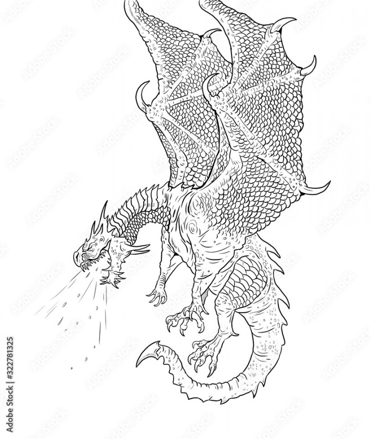 Dragon coloring page. Outline illustration