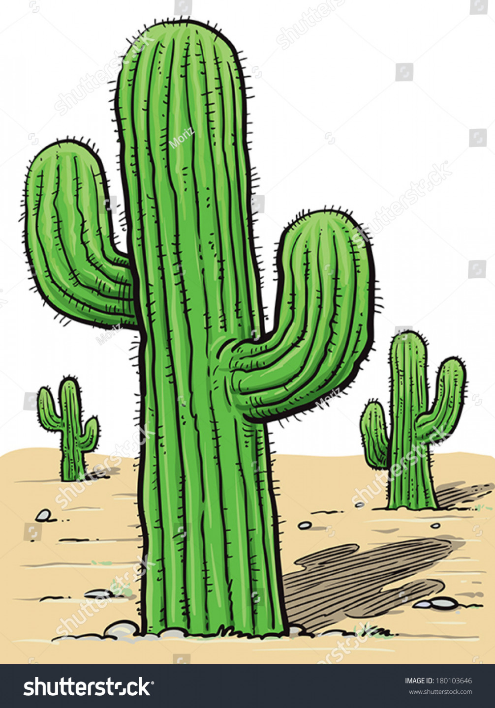 Draw Cactus Desert Stock Vector (Royalty Free)