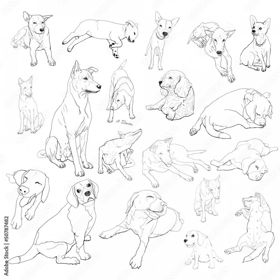 Drawing set of dog on many pose