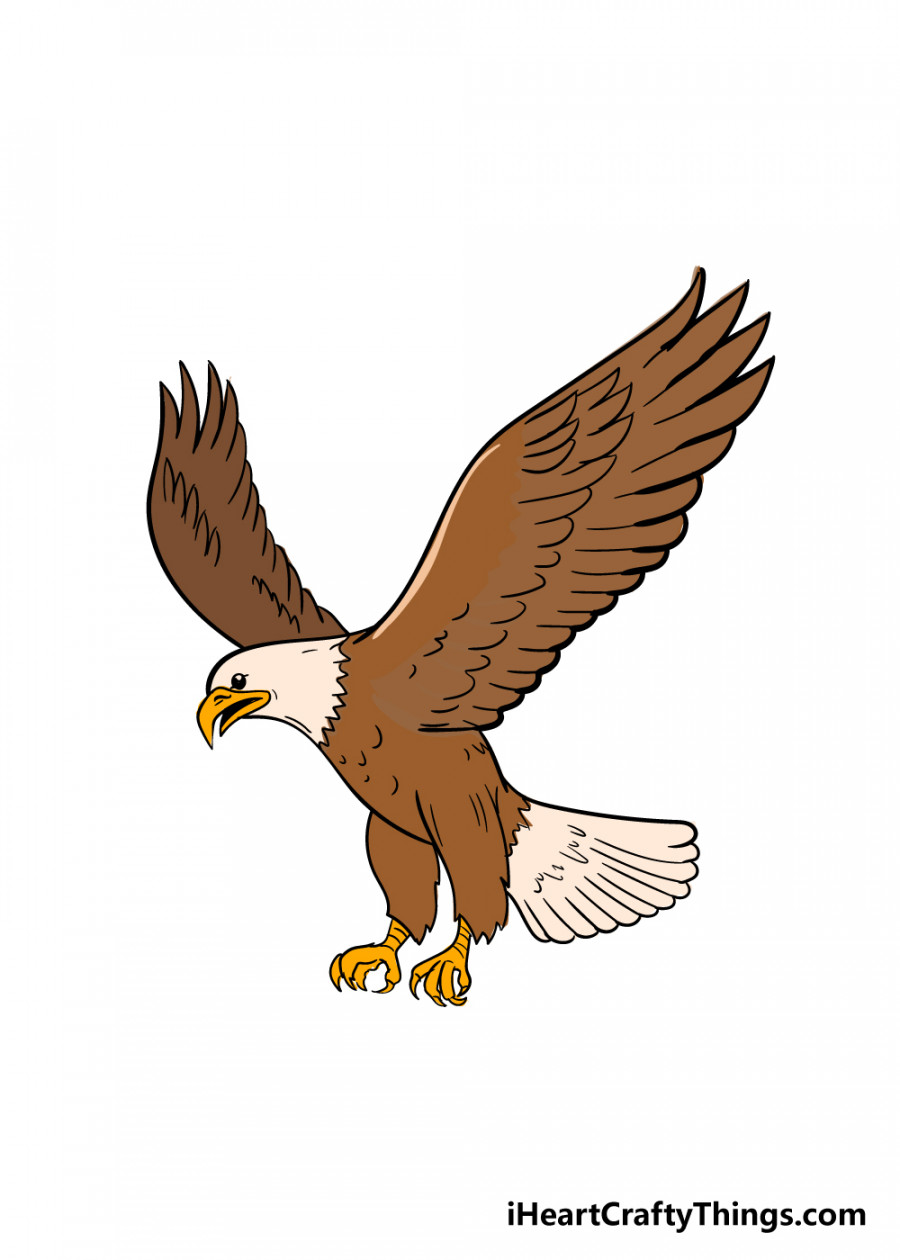 Eagle Drawing - How To Draw An Eagle Step By Step!