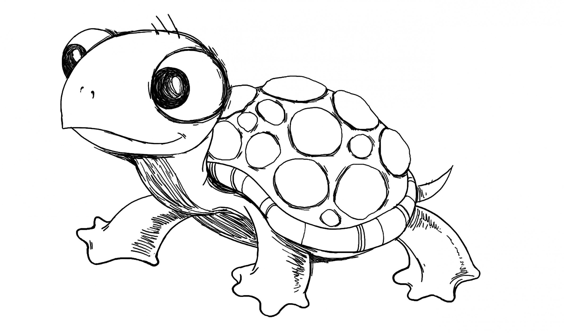 Explore collection of Sea Turtle Cartoon Drawing  Turtle drawing