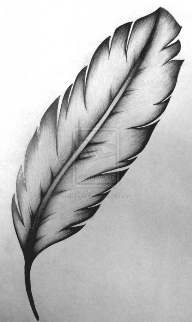 Feather tattoo design