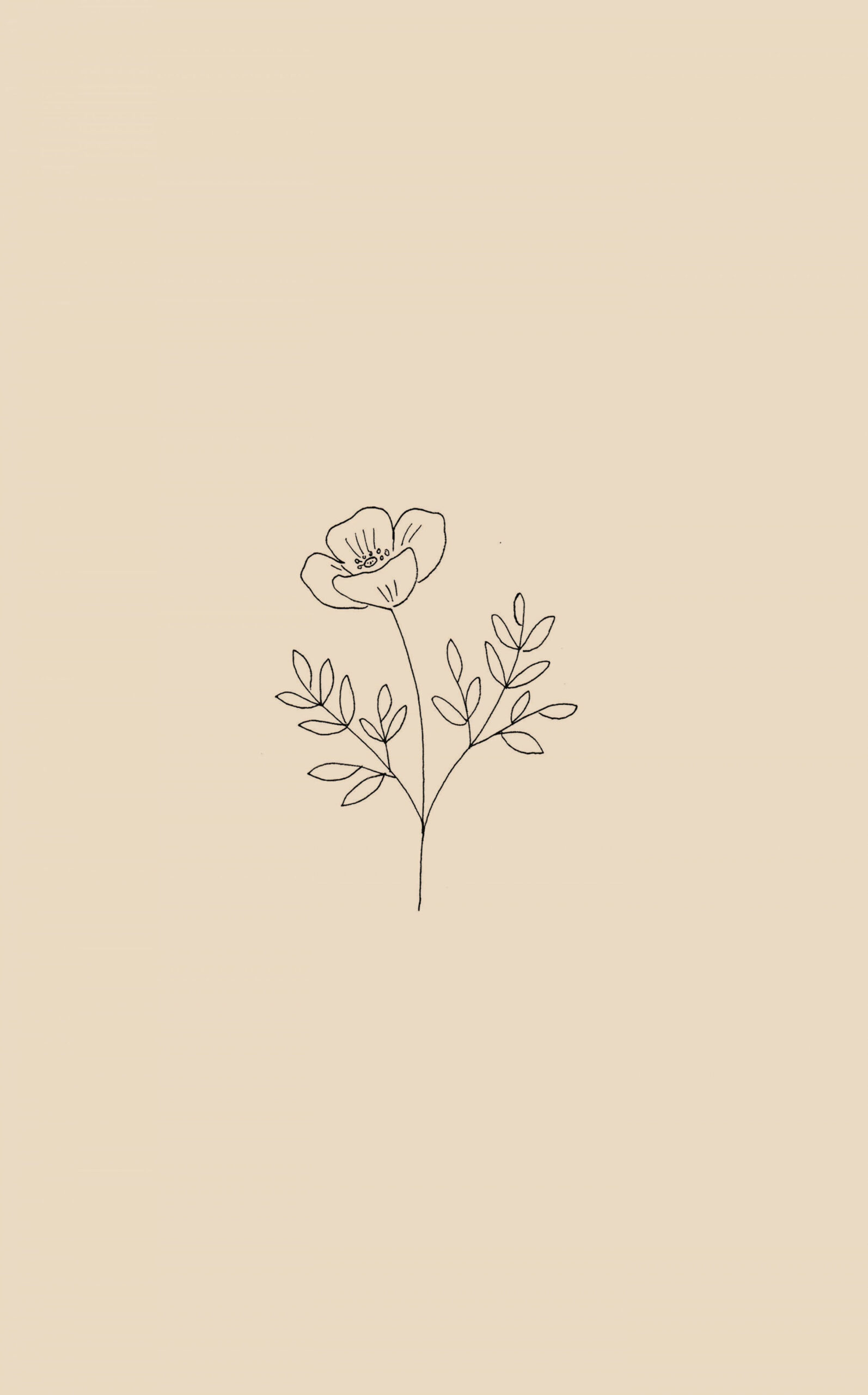 Flower drawing  Minimalist wallpaper, Flower drawing, Abstract