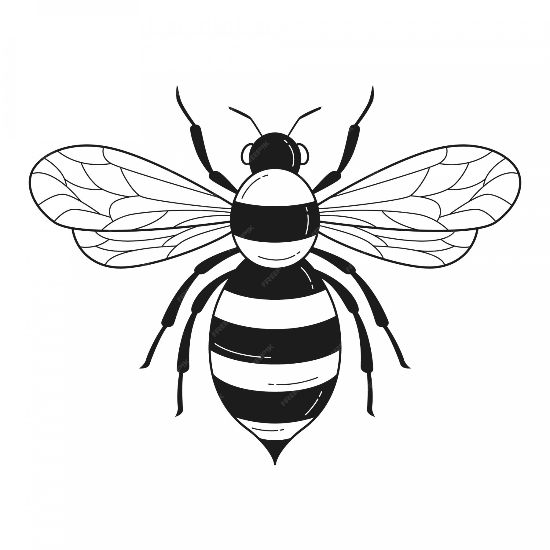 Free Vector  Hand drawn bee outline illustration