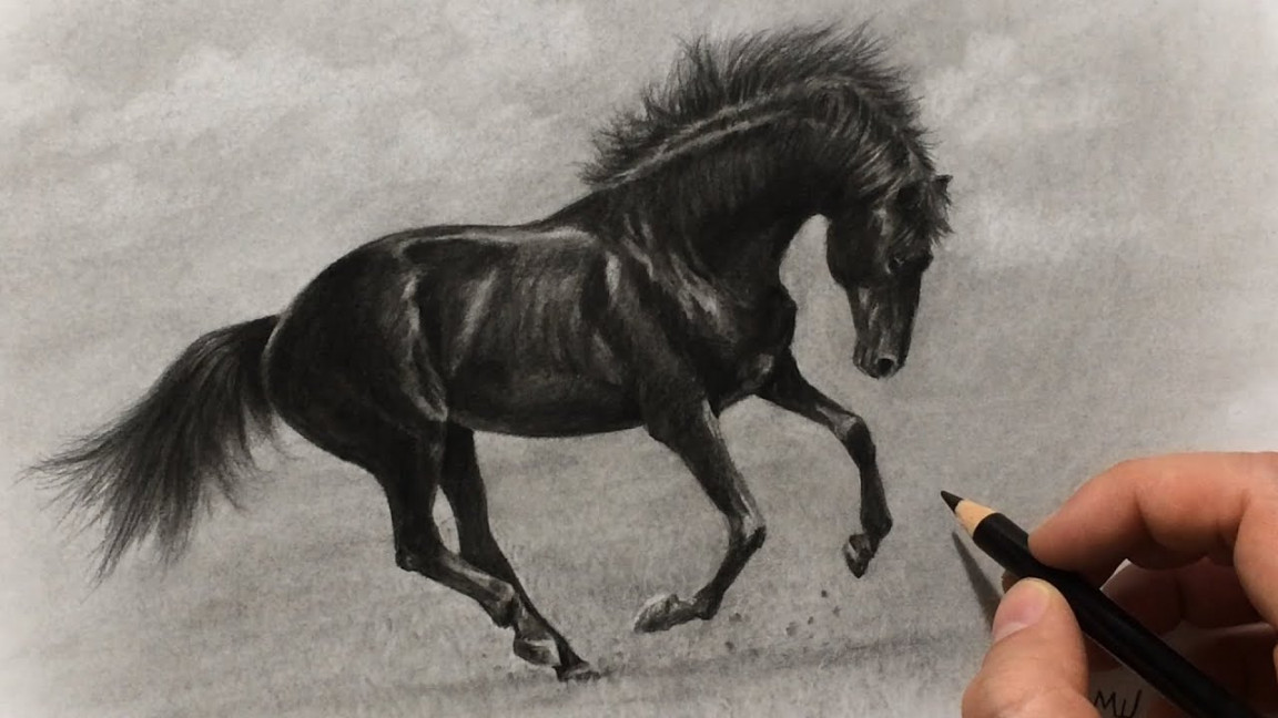 Galloping Black Horse Charcoal Drawing