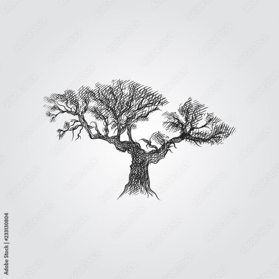 Hand Drawn Olive tree Sketch Symbol isolated on white background