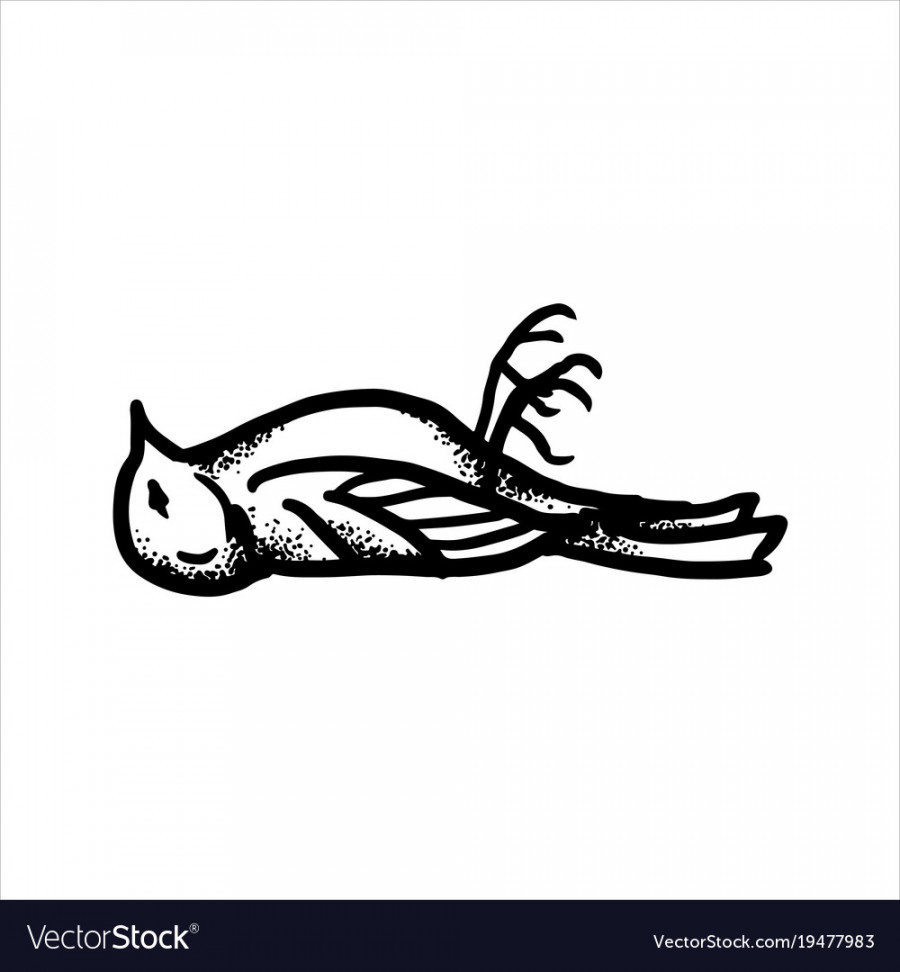 Hand drawn sketch of dead bird Royalty Free Vector Image