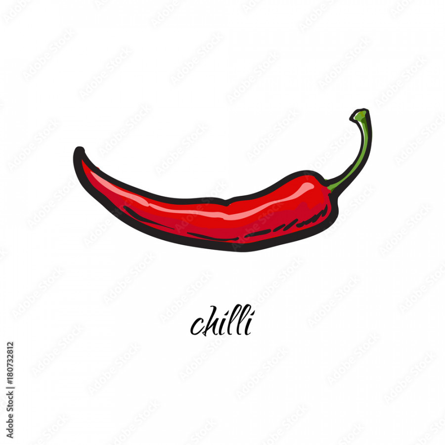 Hand drawn whole red chili pepper with caption, sketch style