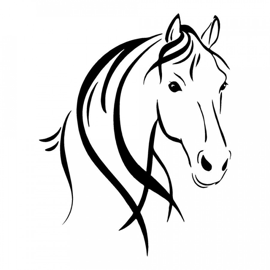 Horse Head Outline  Horse head drawing, Horse drawings, Horse