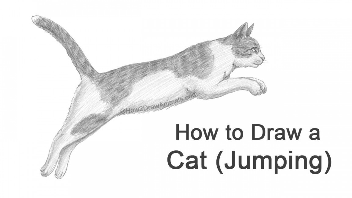 How to Draw a Cat (Jumping / Leaping)