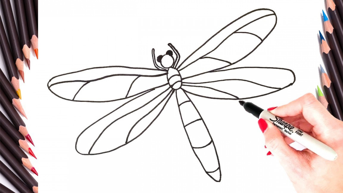 How To Draw A Dragonfly Step By Step  EASY Dragonfly Drawing Tutorial