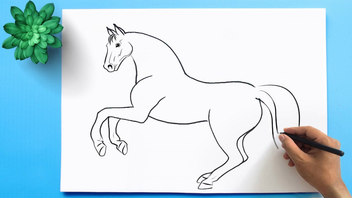 How to Draw a Horse 🐴 Horse Drawing Easy