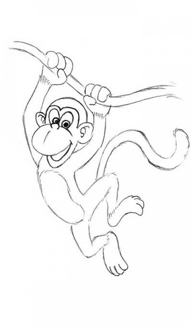 How to draw a monkey  Monkey drawing, Monkey drawing easy, Monkey