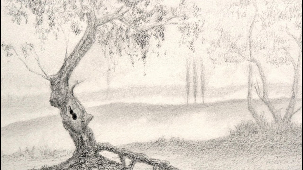 How to Draw a Tree - Landscape