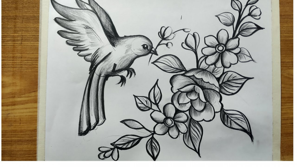 how to draw bird and flowers step by step with pencil sketch for  beginners,bird drawing,flower draw