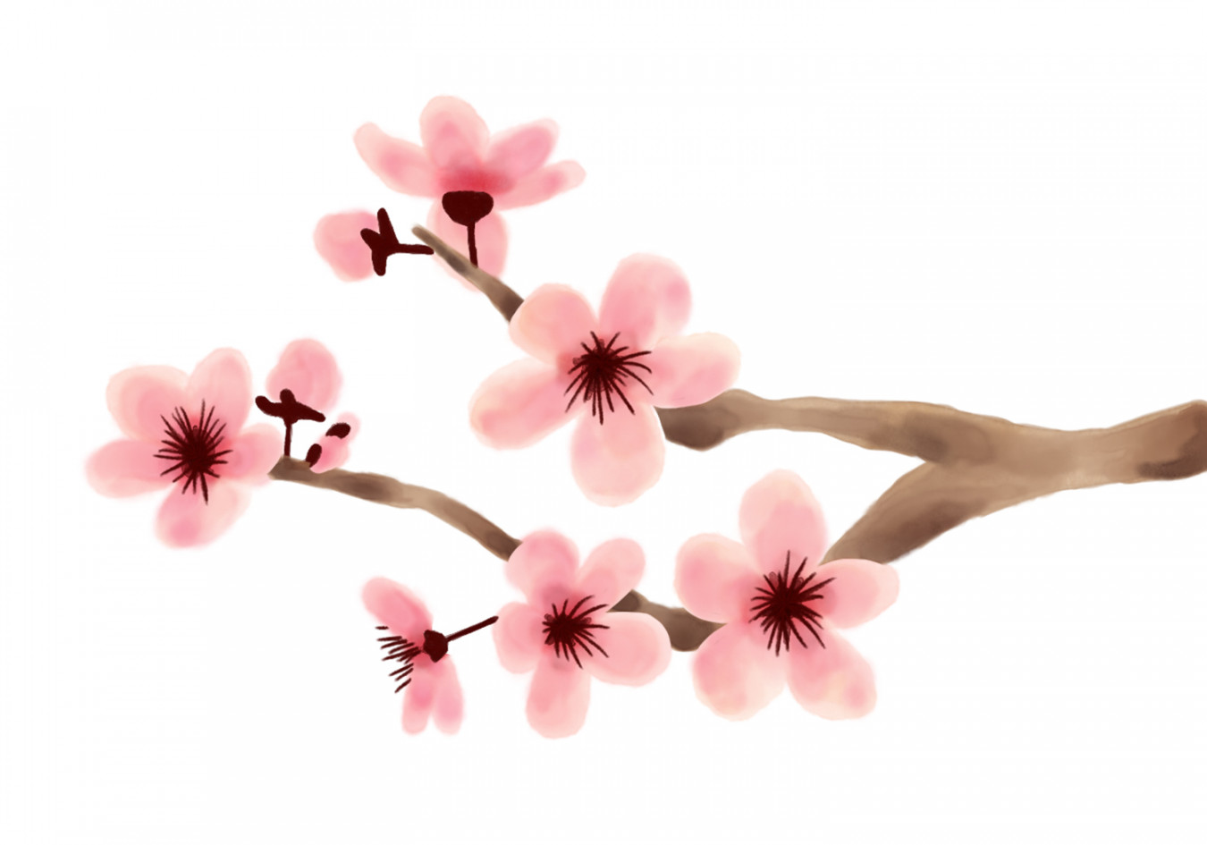 How to Draw Cherry Blossoms  Design School