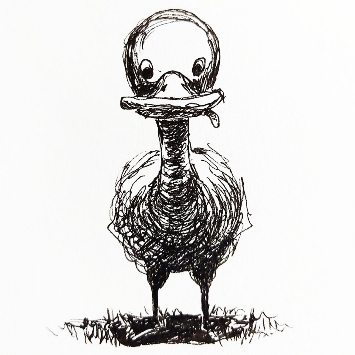 Illustration funny duck