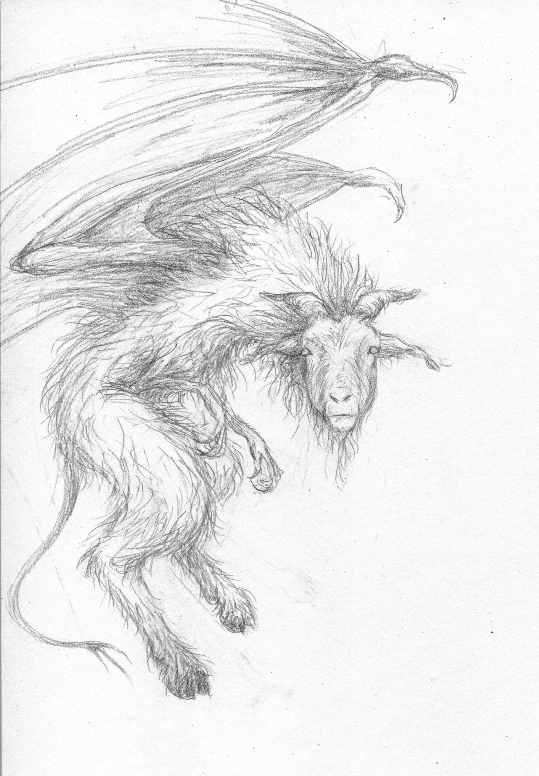 Jersey Devil Pencil Drawing - Etsy UK