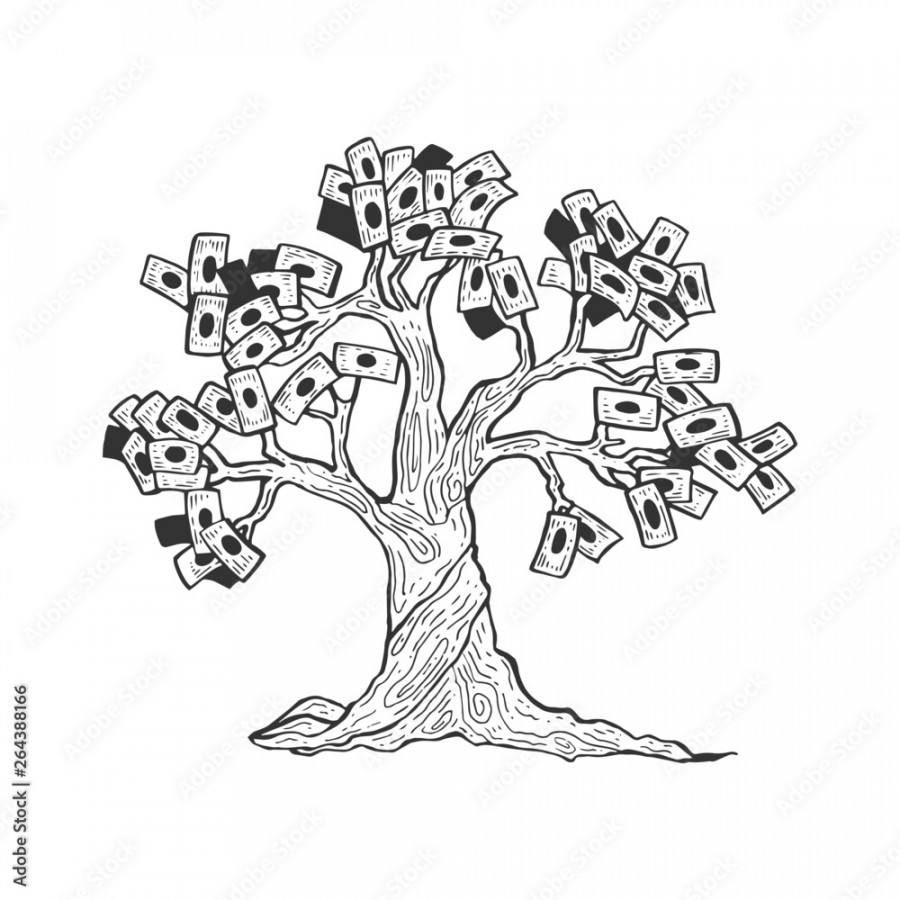 Money tree plant sketch engraving vector illustration